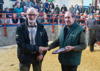 Champion pen of Galloway x Heifers from Firm of J Tullie Bowanhill